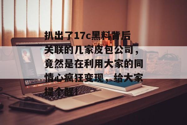 扒出了17c黑料背后关联的几家皮包公司，竟然是在利用大家的同情心疯狂变现，给大家提个醒！